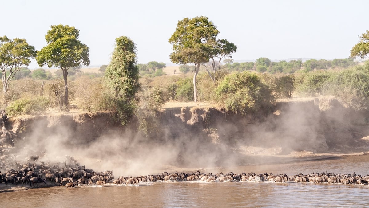Tres parques, un mismo viaje: cómo se arma un safari por el norte de Tanzania