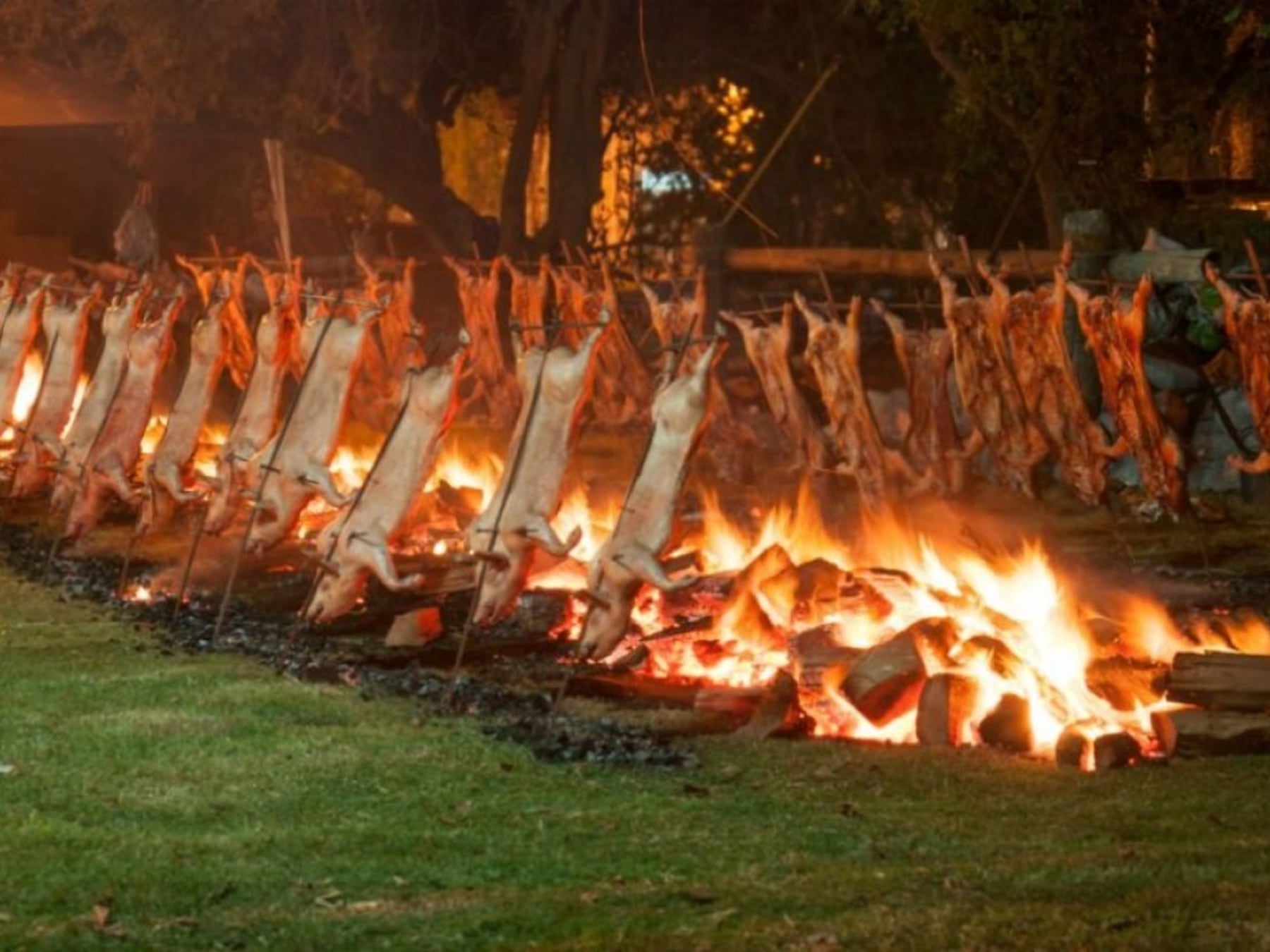 Fin de semana largo en Buenos Aires: la guía completa para elegir entre fiestas del inmigrante, la mozzarella y el cordero