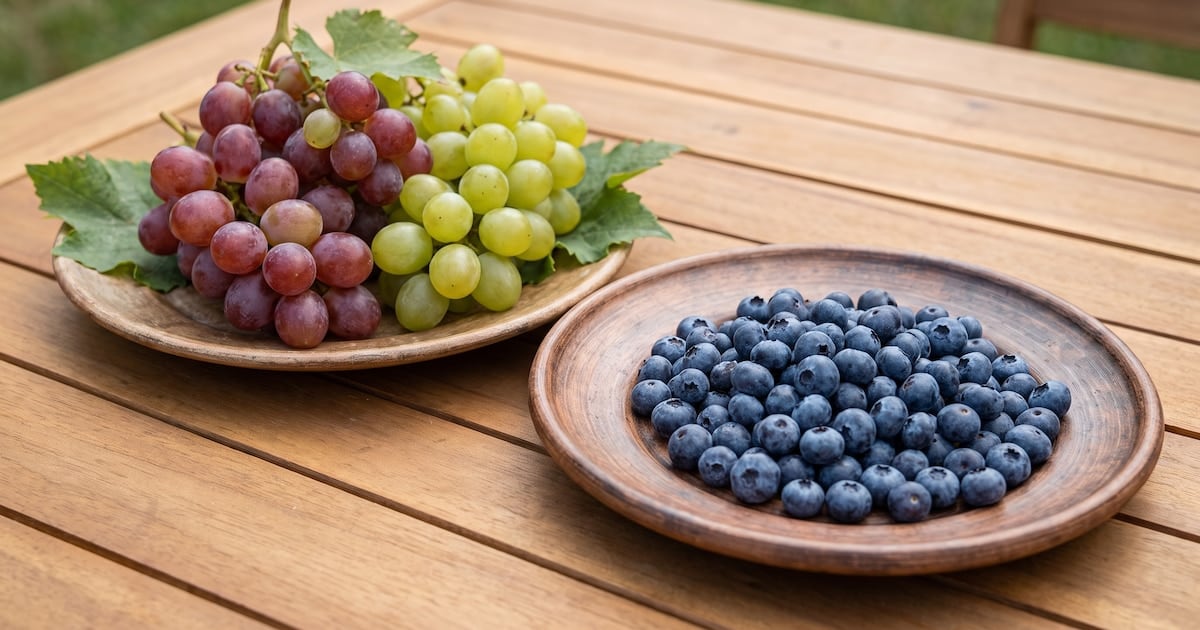 Arándanos y uvas, la pulseada silenciosa por el azúcar en sangre