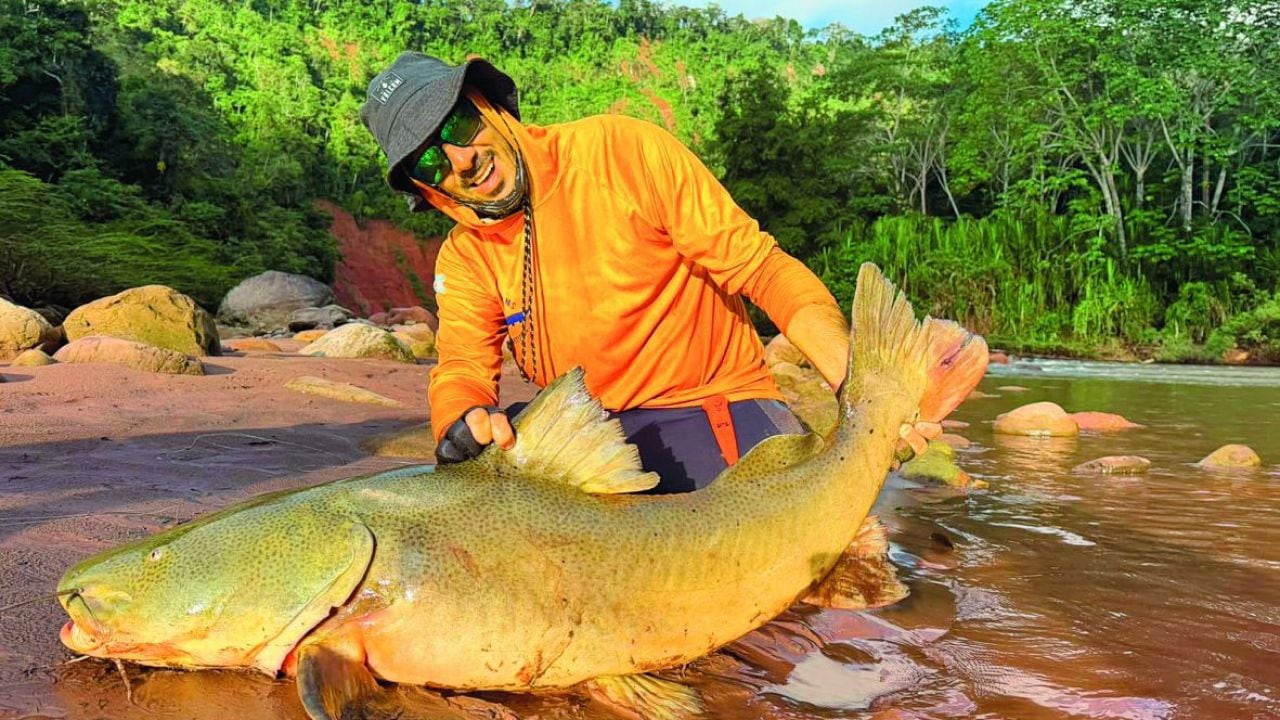 Amazonia boliviana: un río de 350 kilómetros donde se juntan quince especies y peces que casi no entran en la foto