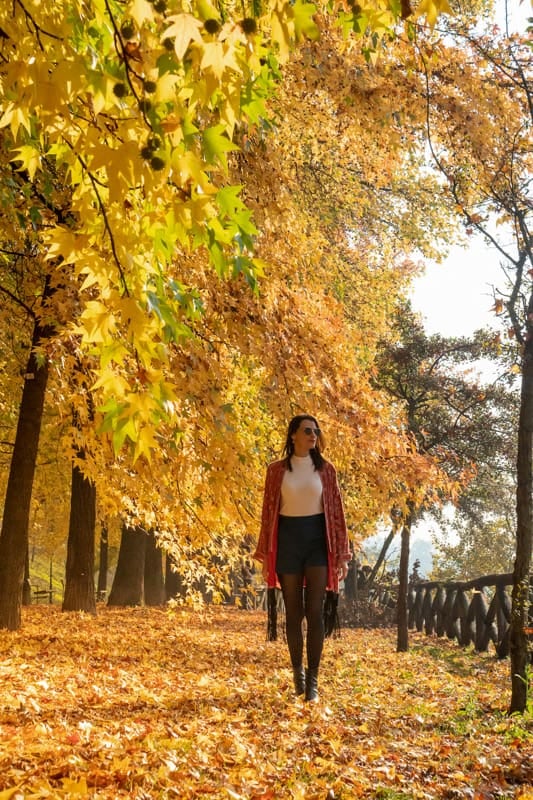 El otoño redefine la agenda turística de doce capitales europeas