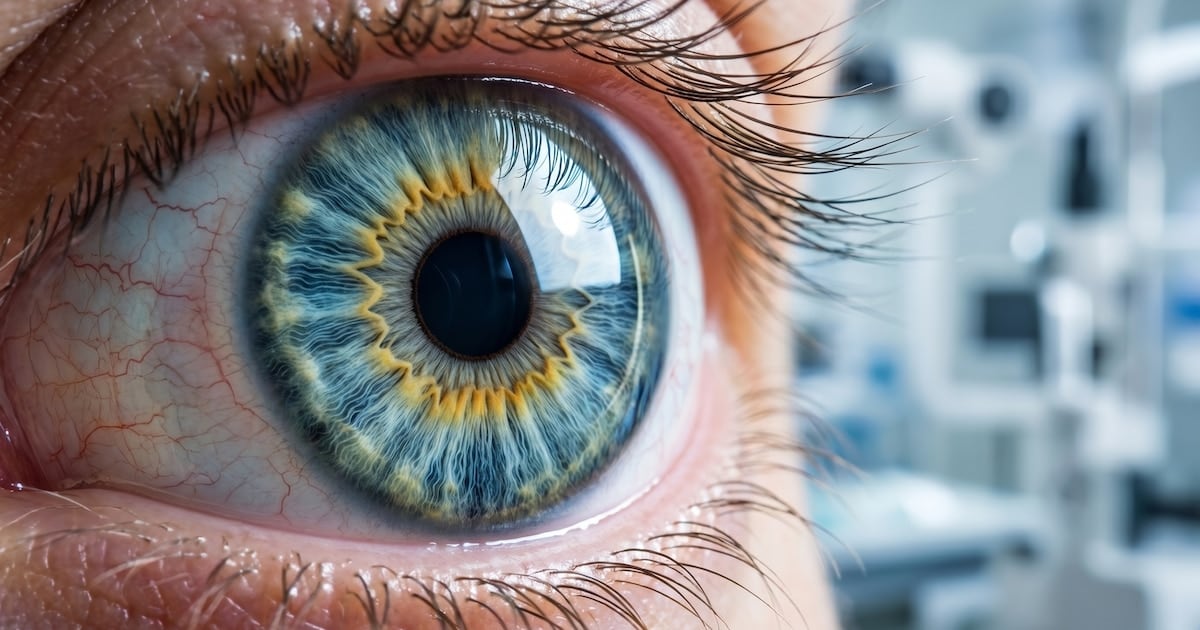 Una proteína developed en Argentina against corneal burns